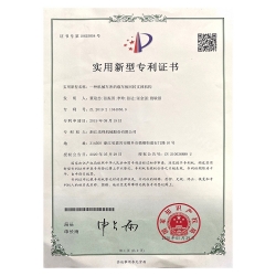 實用新型專利 (1)